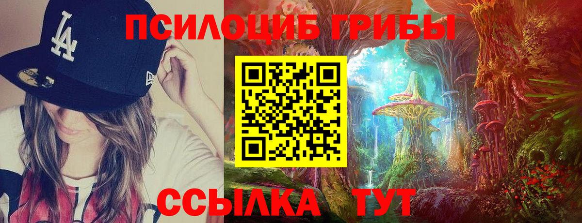 Галлюциногенные грибы Magic Shrooms Дивногорск