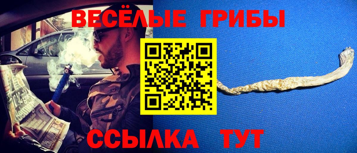 Дивногорск  Псилоцибиновые грибы GOLDEN TEACHER  Галлюциногенные грибы ЛСД  Вход с VPN 